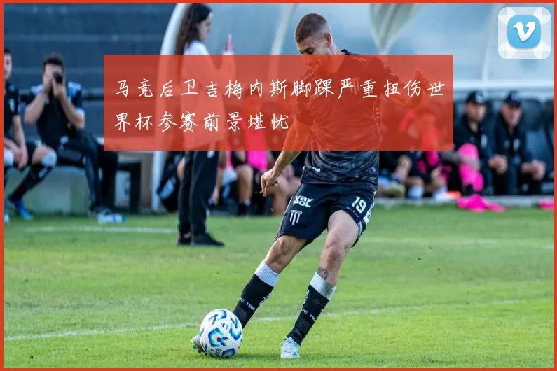 马竞后卫吉梅内斯脚踝严重扭伤世界杯参赛前景堪忧